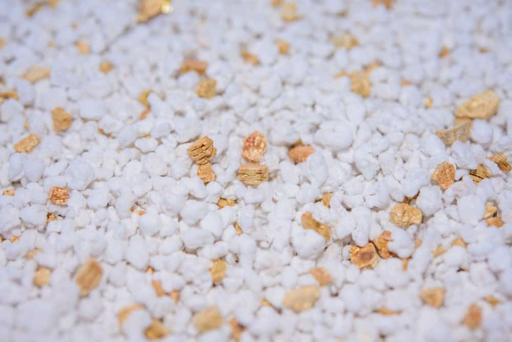 What is the Difference Between Perlite and Vermiculite, and Why Should They Be Used Together?
