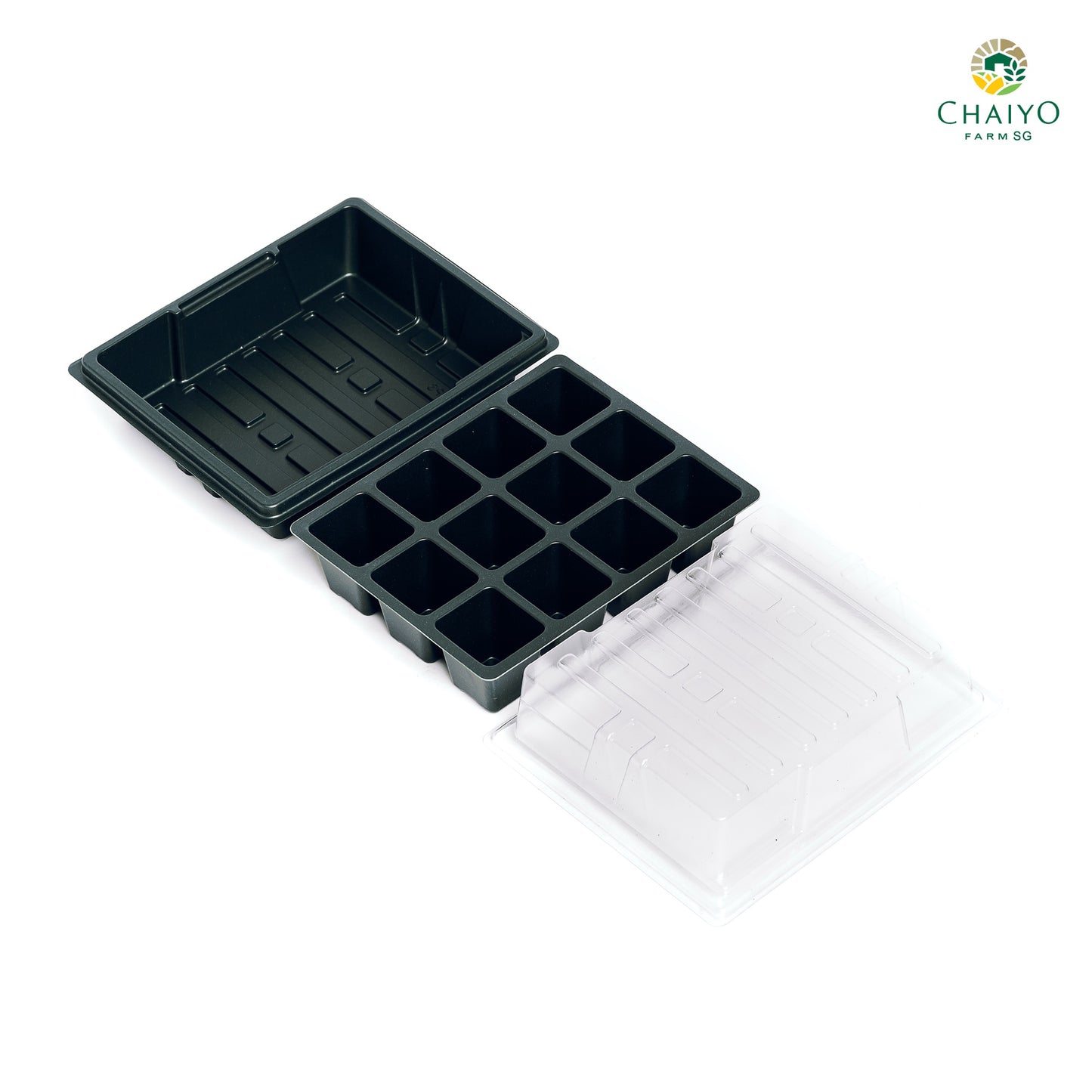 Seeding tray with cover 12, 24 holes (Green, Green)