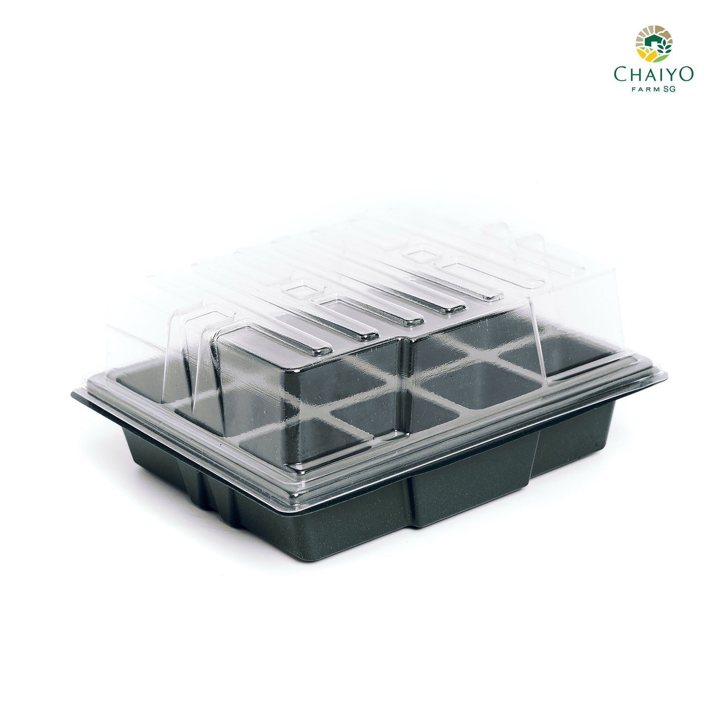 Seeding tray with cover 12, 24 holes (Green, Green)