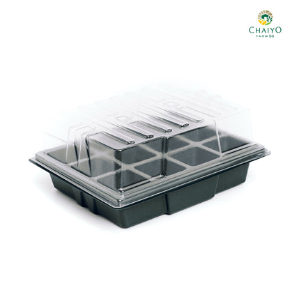 Seeding tray with cover 12, 24 holes (Green, Green)