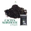 Van Egmond Cactus Substrate 3L – Repack