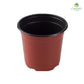 Plastic pot 10 cm 15 pcs/pack (Brown, White)