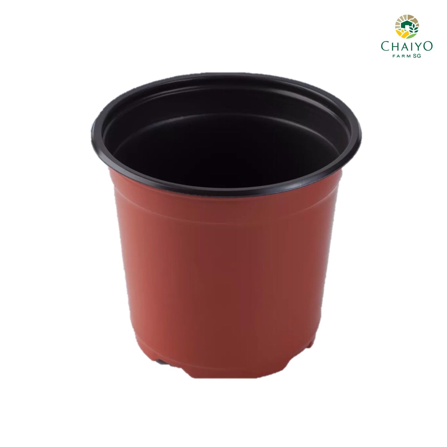 Plastic pot 10 cm 15 pcs/pack (Brown, White)