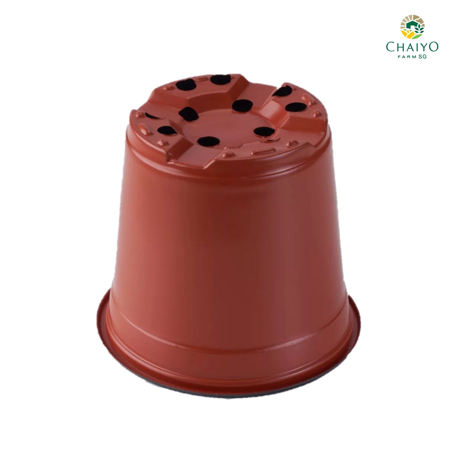 Plastic pot 10 cm 15 pcs/pack (Brown, White)