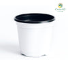 White Plastic Pot 10cm – 15 pcs/pack