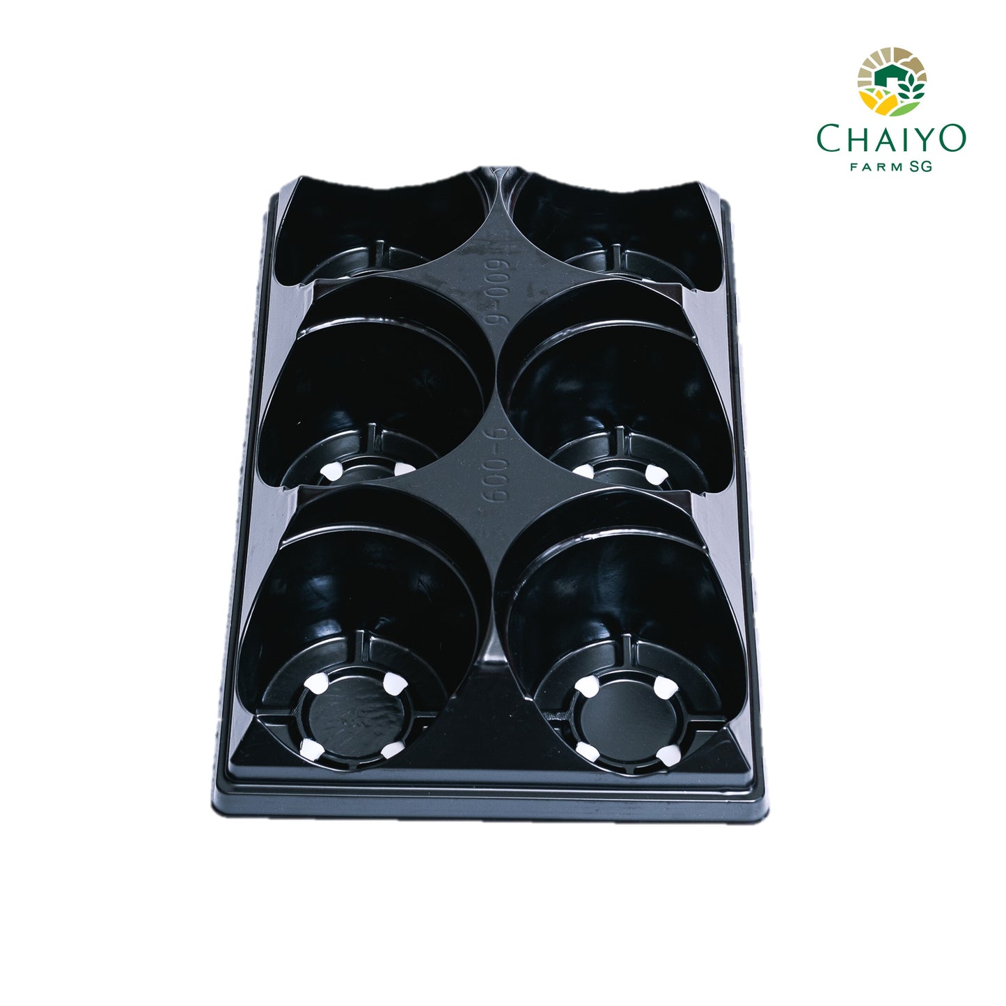 Pot tray for pot (15 cm) 6 holes