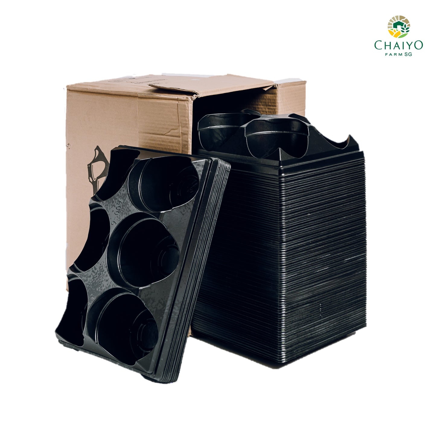 Pot tray for pot (15 cm) 6 holes