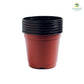 Plastic pot 15 cm 6 pcs/pack (Brown, White)