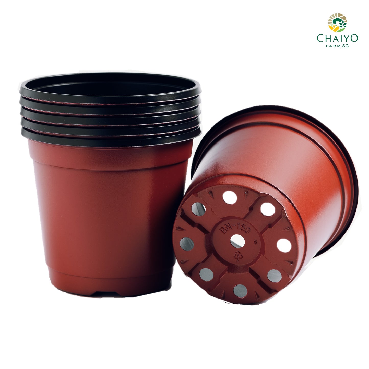 Plastic pot 15 cm 6 pcs/pack (Brown, White)