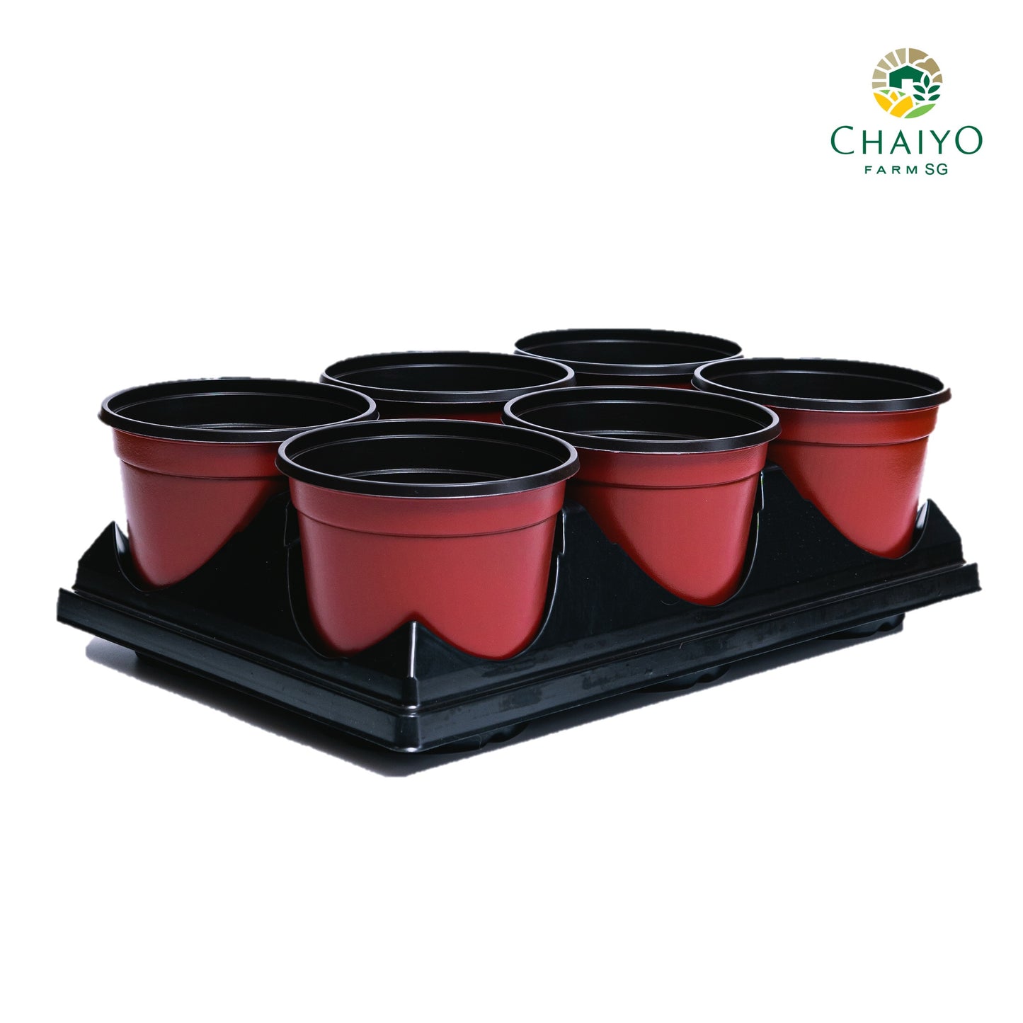 Pot tray for pot (15 cm) 6 holes