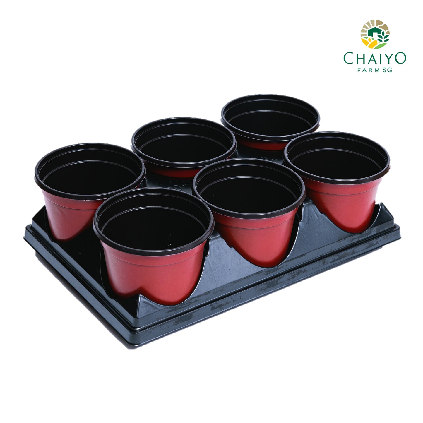 Plastic pot 15 cm 6 pcs/pack (Brown, White)