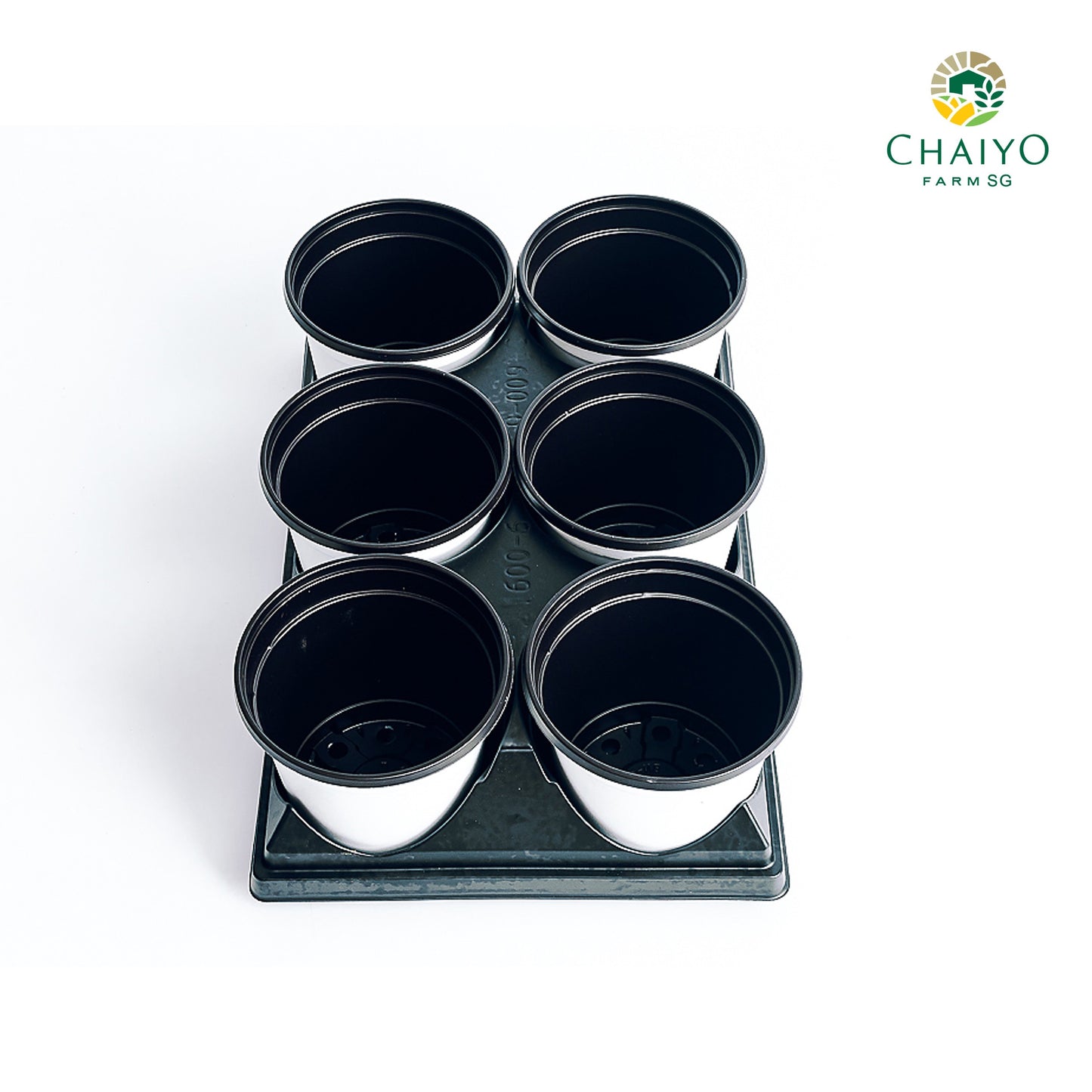 Plastic pot 15 cm 6 pcs/pack (Brown, White)