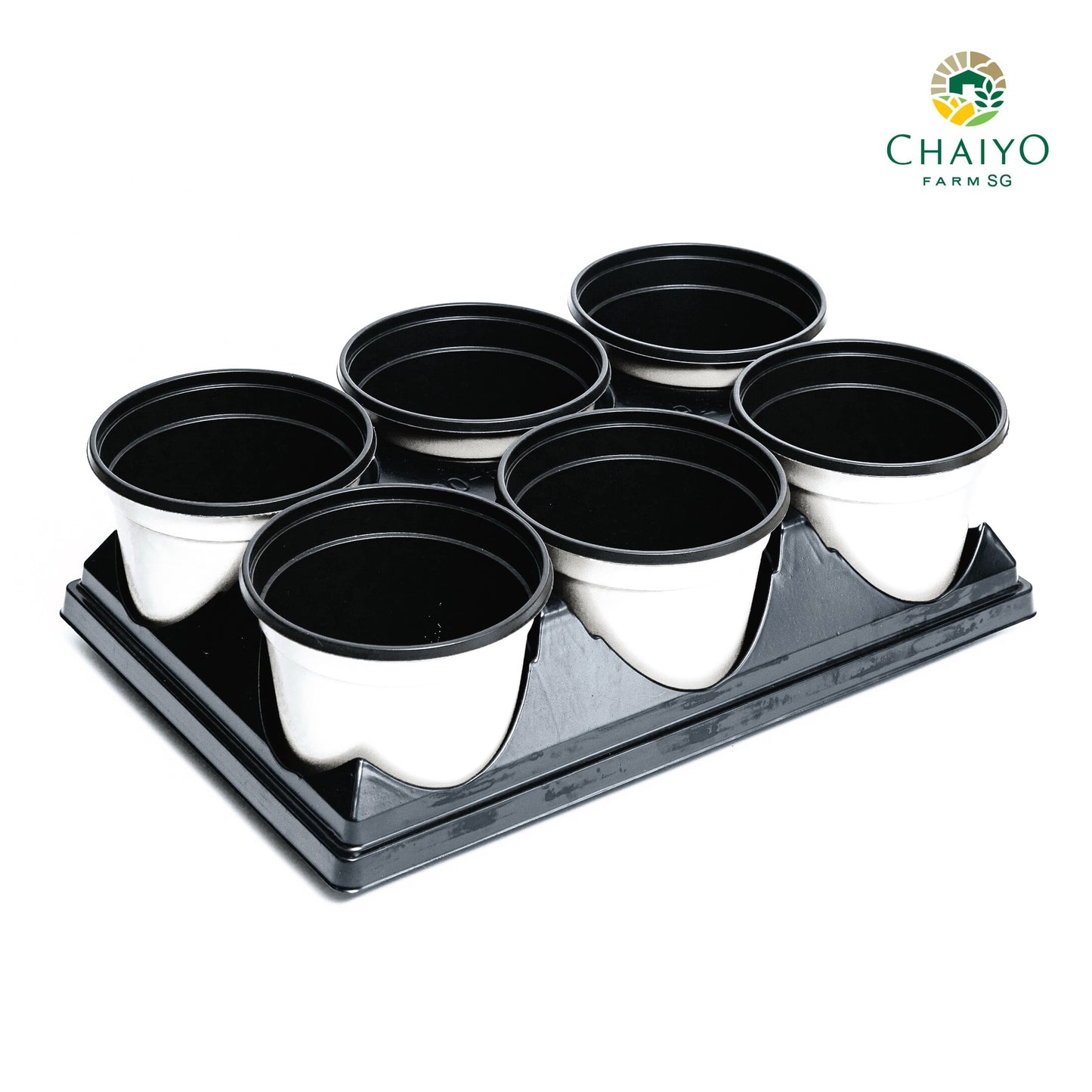 Pot tray for pot (15 cm) 6 holes