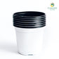 Plastic pot 15 cm 6 pcs/pack (Brown, White)