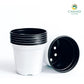 Plastic pot 15 cm 6 pcs/pack (Brown, White)