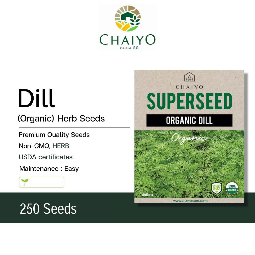 Dill (Organic) Herb Seeds, 250 Seeds