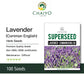 Lavender (Commonenglish) Herb Seeds , 100 Seeds