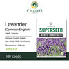 Lavender (Commonenglish) Herb Seeds , 100 Seeds