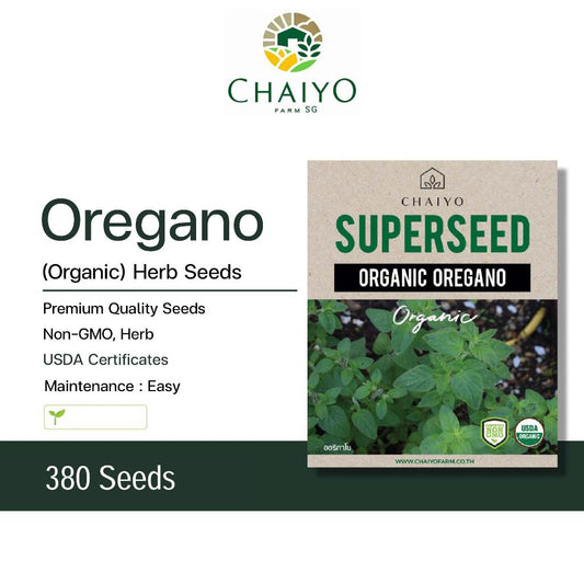 Oregano (Organic) Herb Seeds, 380 Seeds