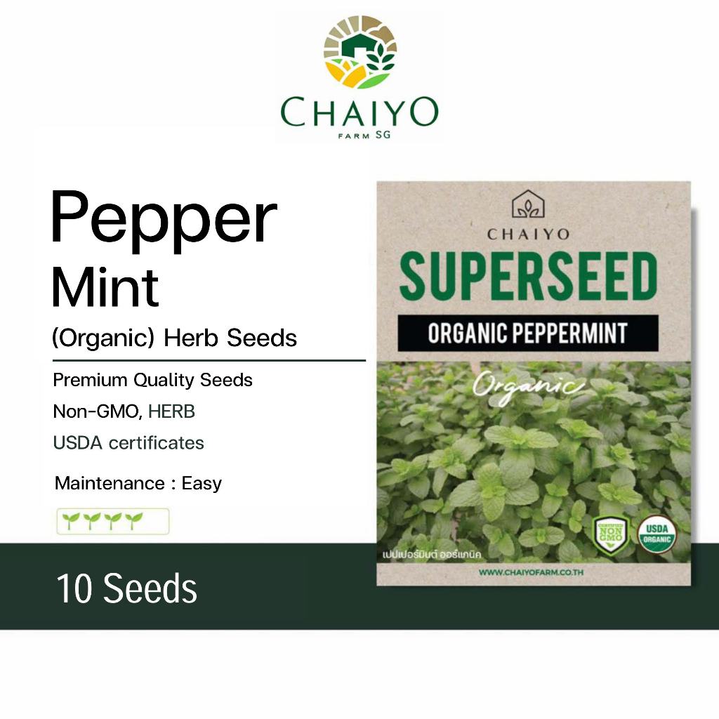 Peppermint (Organic) Herb seed, 10 seeds