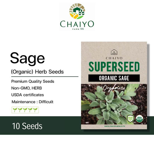 Sage (Organic) Herb Seeds, 10 Seeds
