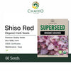 Shiso Red (Organic) Herb seed, 60 seeds
