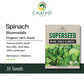 Spinach - Bloomsdale (Organic) Seeds, 35 Seeds