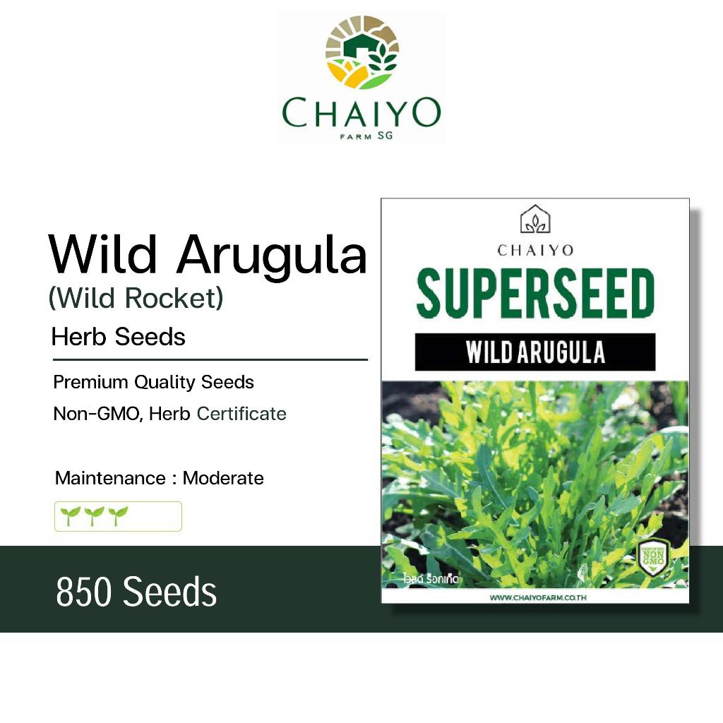 Wild Arugula (Wild Rocket) Herb Seeds, 850 Seeds – Chaiyo Farm ...