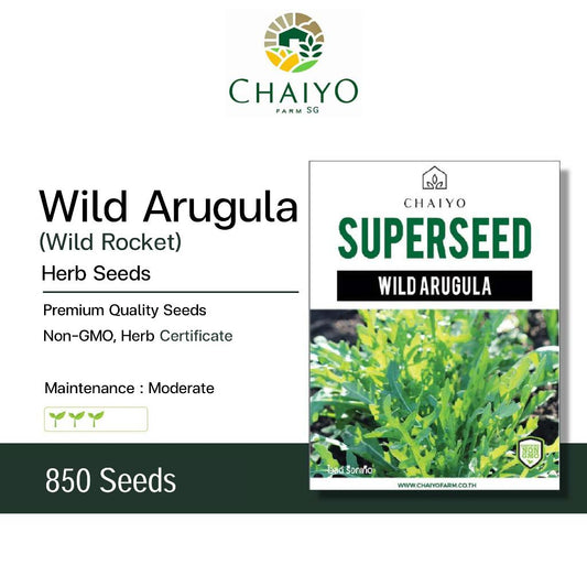 Wild Arugula (Wild Rocket) Herb Seeds, 850 Seeds