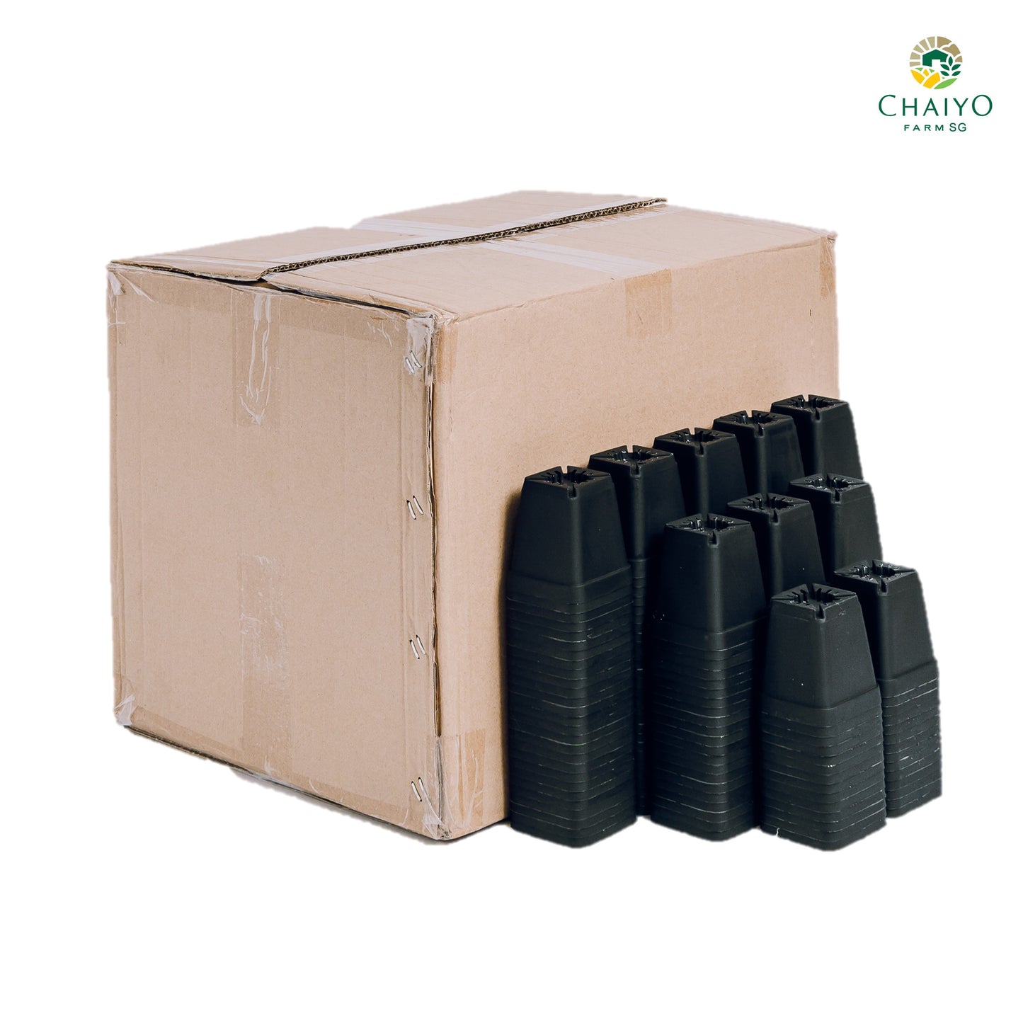 Cactus pot 6.75 cm 10 pcs/pack (Black/White/Green)