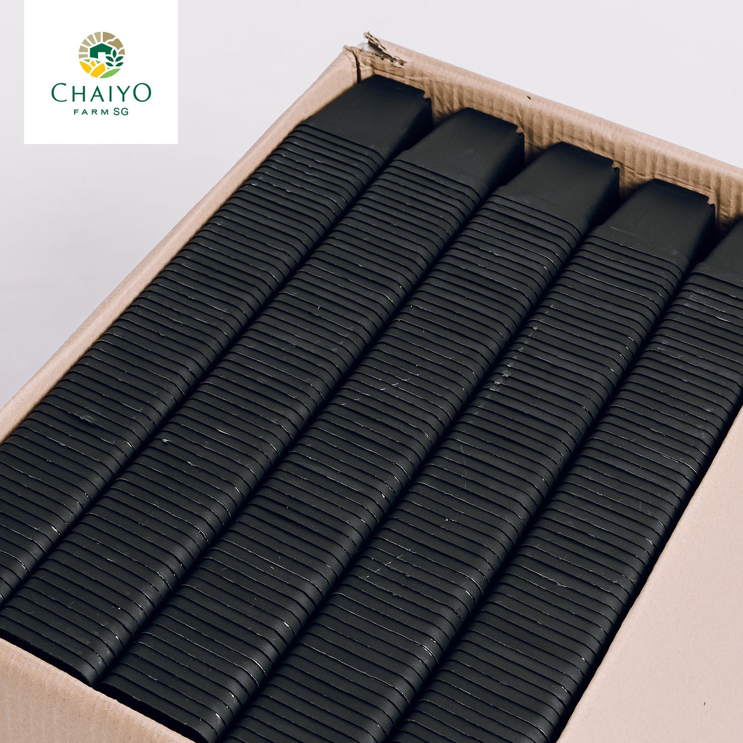 Cactus pot 6.75 cm 10 pcs/pack (Black/White/Green)