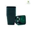 Green Cactus Pot 6.75cm – 10 pcs/pack