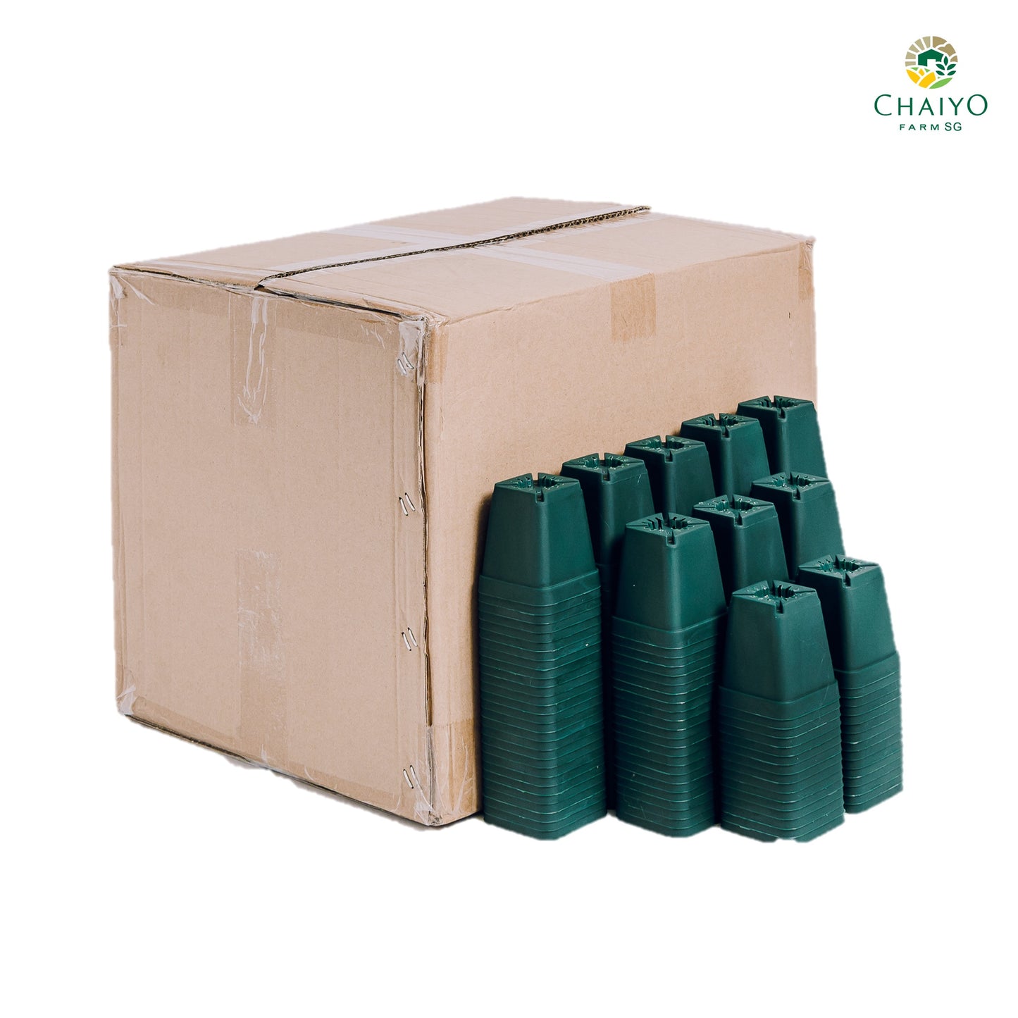 Cactus pot 6.75 cm 10 pcs/pack (Black/White/Green)