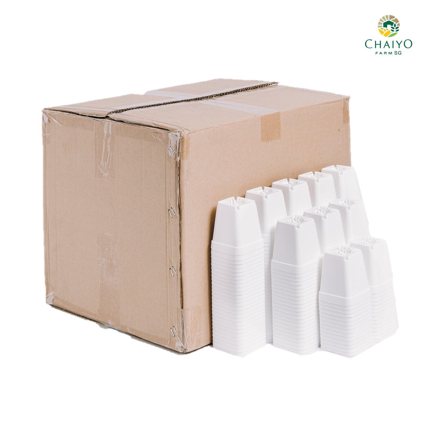 Cactus pot 6.75 cm 10 pcs/pack (Black/White/Green)