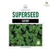 Catnip Herb Seeds, 550 Seeds