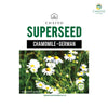 German Chamomile (Matricaria recutita) Herb Seeds, 600 Seeds