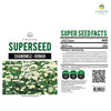 Chamomile Roman herb seed, 400 seeds