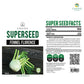 Fennel (Florence) Herb Seeds, 100 Seeds
