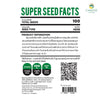 Fennel (Florence) Herb Seeds, 100 Seeds