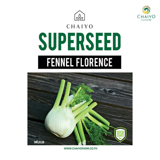 Fennel (Florence) Herb Seeds, 100 Seeds