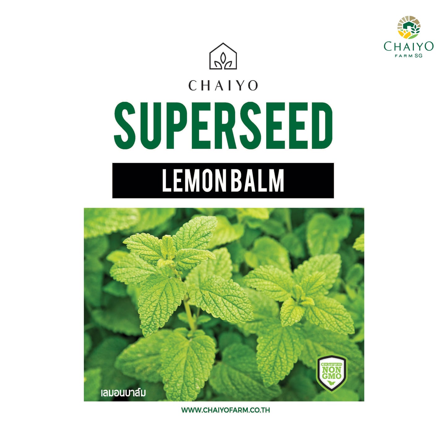 Lemon Balm Herb Seeds, 380 Seeds