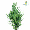 English Lavender Lavandula angustifolia – Bare Root
