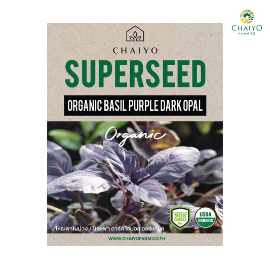 Basil Purple Dark Opal (Organic) herb seed, 60 seeds