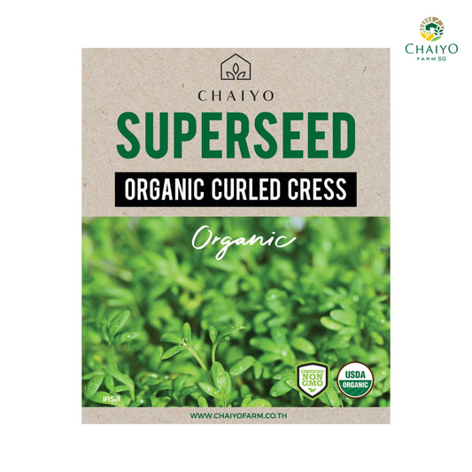 Curled Cress (Organic) Herb Seeds, 260 Seeds