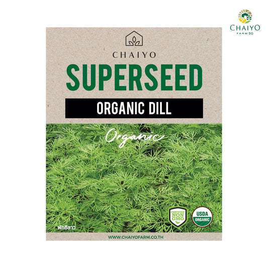 Dill (Organic) Herb Seeds, 250 Seeds