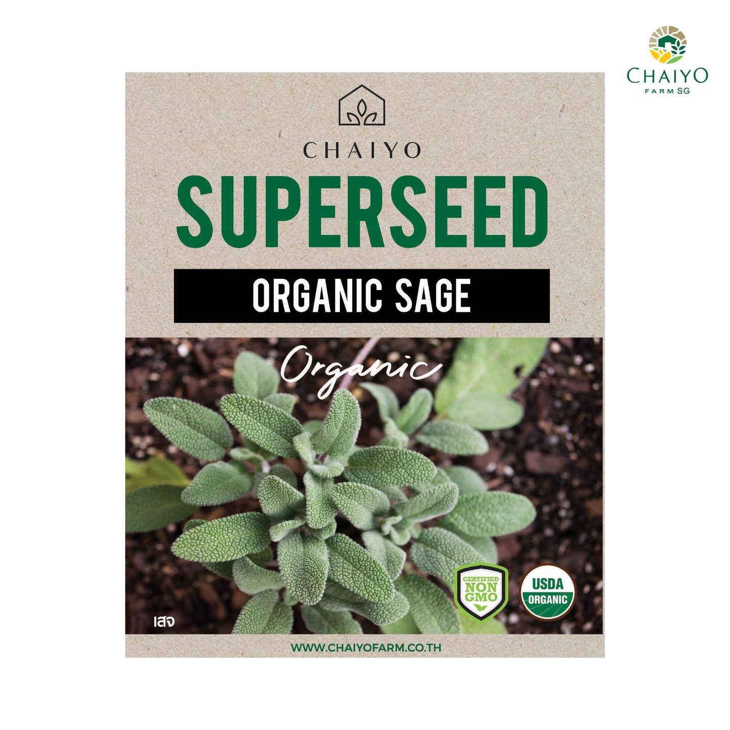 Sage (Organic) Herb Seeds, 10 Seeds