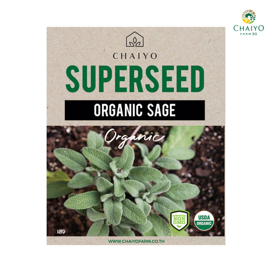Sage (Organic) Herb Seeds, 10 Seeds