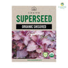 Shiso Red (Organic) Herb seed, 60 seeds