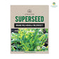 Wild Arugula Rocket (Organic) Herb Seeds, 300 Seeds