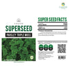 Pasley (Triple Moss) Herb Seeds, 700 Seeds